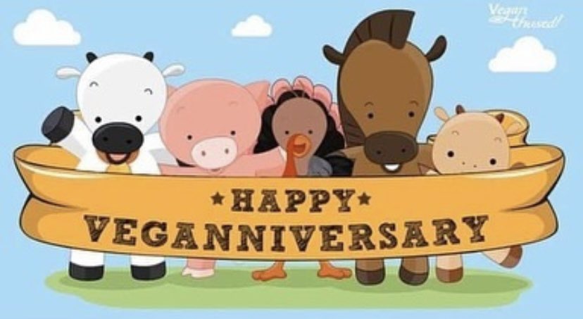HanBanBakery's tweet image. 21 years vegan and still not dead from lack of protein.. @veganuary
