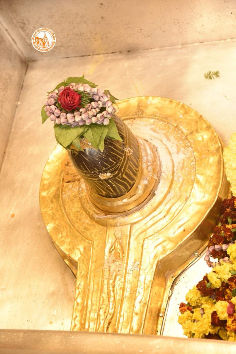 ShriVishwanath's tweet photo. आज दिनाँक 03-01-2023 को श्री काशी विश्वनाथ मंदिर में दोपहर भोग आरती के भव्य दर्शन।

#ShriKashiVishwanath #Shiv #Mahadev #Baba #Temple #Divy #Darshan #Blessings  #BhogAarti #Varanasi #Aarti #Kashi #Jyotirlinga #VishwanathDham https://t.co/toNf4WRyMk