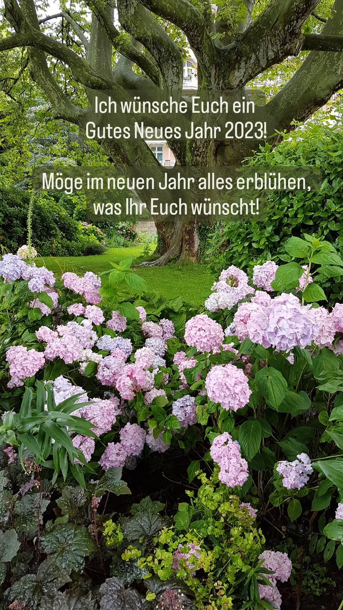 Ursula Klupp (@uklupp) on Twitter photo 