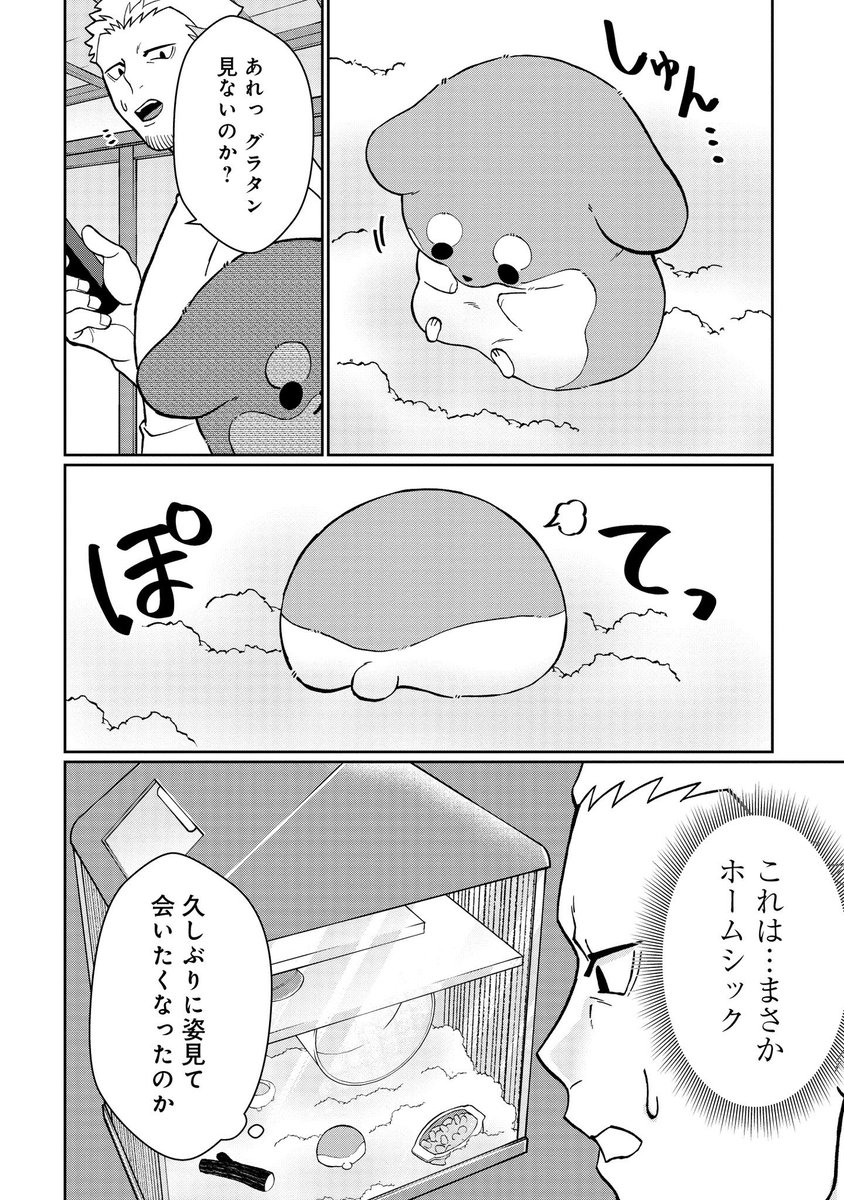 #悪者さんちのハムスター
第22話「ハムスターに耳をすませば」がくらげバンチにて公開されました🐹🐻
https://t.co/raaMelrdVr
ハムスターの咀嚼音はとってもグッドサウンドなお話です🐹🐹🐹
単行本2巻は7日発売!
https://t.co/LXFgjoBHSz
ぜひよろしくお願いします。