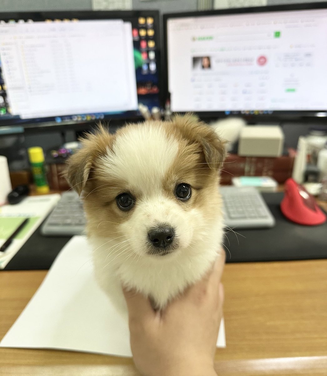 일에 집중 못 하는 이유