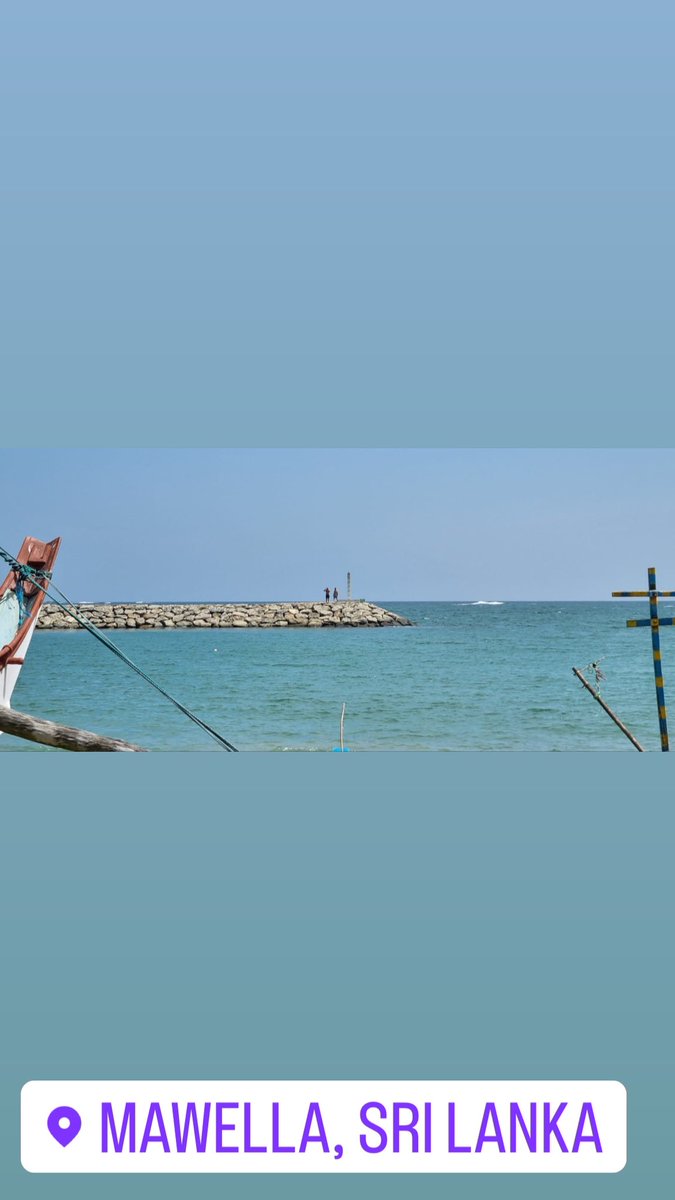 Jay Tiger Halim tweet media