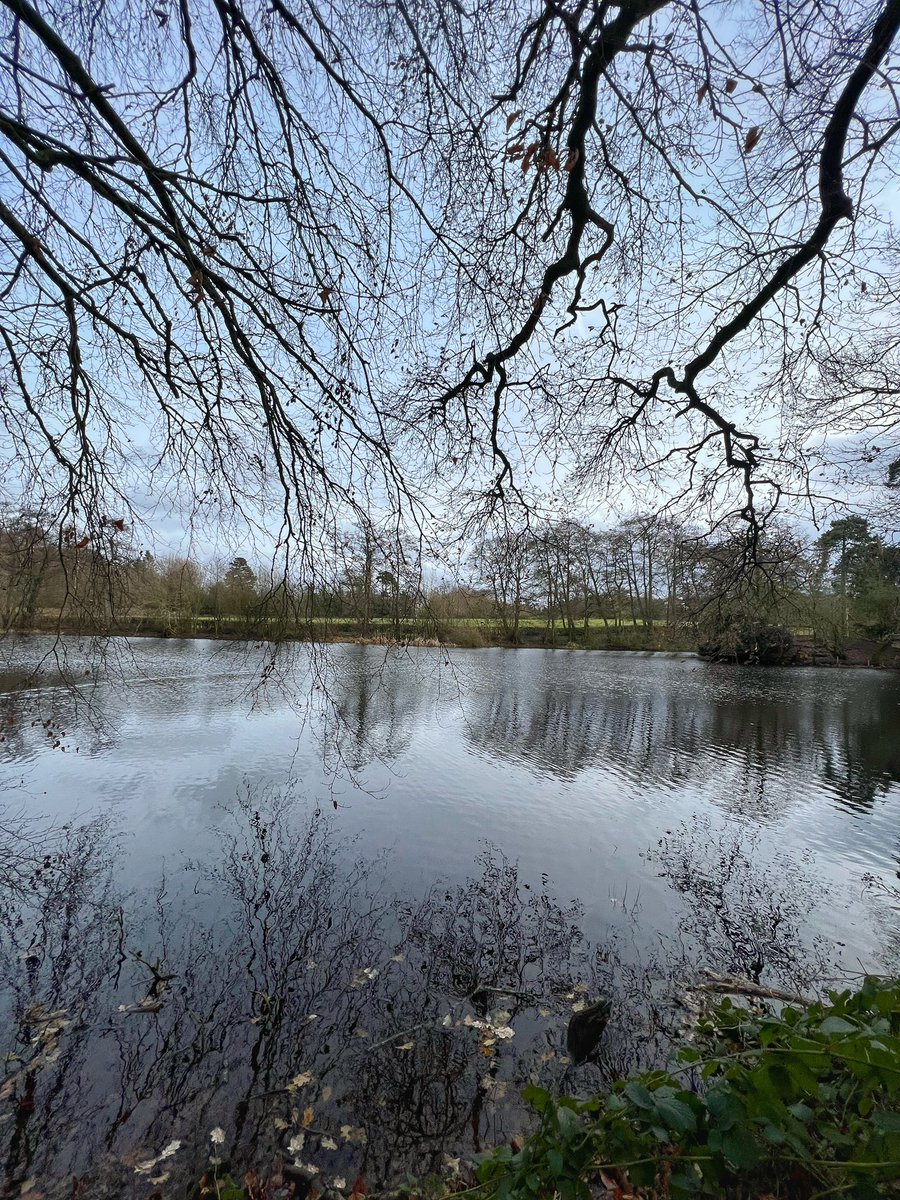 Cattan2011's tweet photo. pendeford mill nature reserve - #NaturePhotography #nature #NatureBeauty #STAFFORDSHIRE #Wolverhampton #WESTMIDLANDS #ENGLAND #landscape #landscapelovers https://t.co/1s88E1P7WP