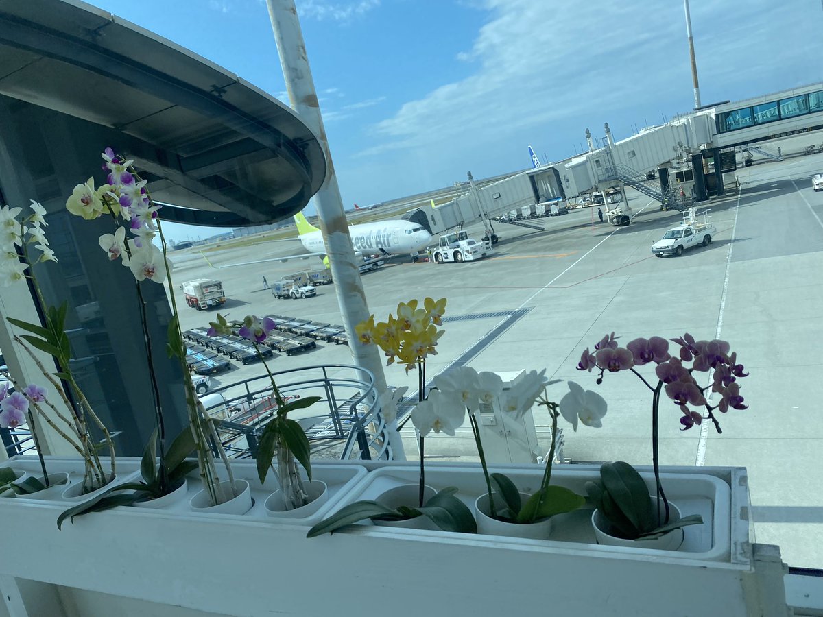 03Uehara's tweet photo. 船橋に帰ってきたー😔
まだ沖縄いたかったー😩
次は夏に帰る予定だから
会えなかった人夏に会おうねー😊 https://t.co/xiIli6tBIf