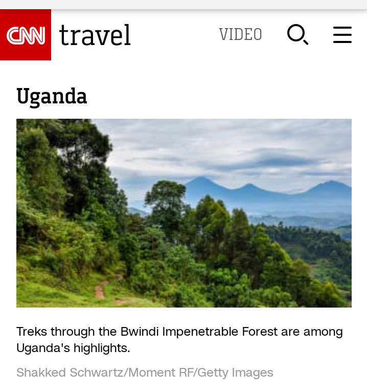 Nature Trails East Africa tweet media