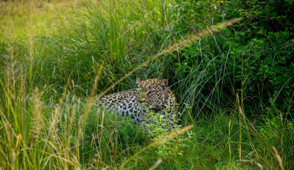 masabakarim's tweet photo. Congratulations to Uganda for being named among the world's top tourism destinations to visit in 2023 by US television channel CNN. Our country's tourism sector has the potential to turn around the economy if adequately funded. https://t.co/SlUSFqBoLe