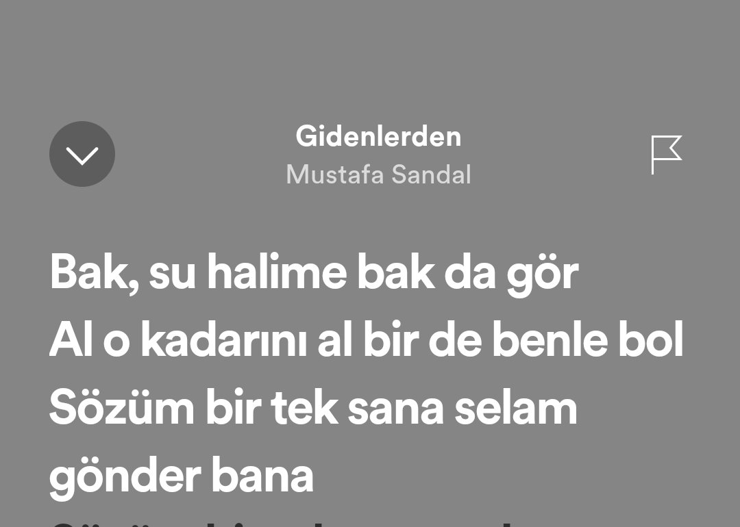 @nappemsi Yalnız değilsin dostum. Ben de yıllarca 'al o kaderini al birde benle böl' diye dinledim. Musti yapıyor böyle şeyler 😃