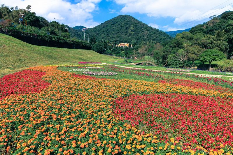 NOTICIASTaiwan's tweet photo. Campos floridos en Taipei🌼🌹🌻
Un manto de coloridas flores está atrayendo a los visitantes al parque ribereño de Dagouxi, en el sector de #Neihu en #Taipei. (Foto cortesía del Gobierno de la Ciudad de Taipei) https://t.co/7twYvQAFS2