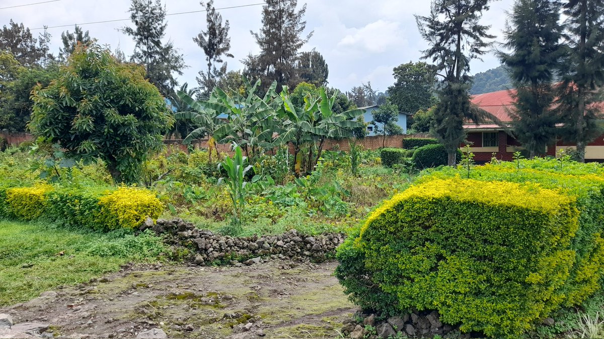 Mamaurwagasabo1's tweet photo. @MusanzeDistrict:Hari abaturage batuye mu Murenge wa #Muhoza mu kagari ka #Mpenge, umudugudu wa #Gikwege bamaze imyaka irenga 20 bari mu rungabangabo, kubera ko babujijwe kuvugurura inzu zabo @Rwanda_Housing @LODARwanda
@EnabelinRwanda  @YolandeMakolo
https://t.co/DtHMTmgbxE https://t.co/NNTGGHrI05