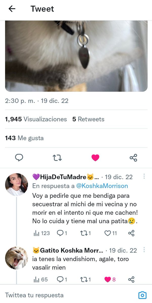joanchimiau's tweet photo. Recuerdas @KoshkaMorrison 😊??? Pues...🐱♥️! Ayer lo hice y hoy ya duerme en casa 😀! https://t.co/3Sp8D0GWVz