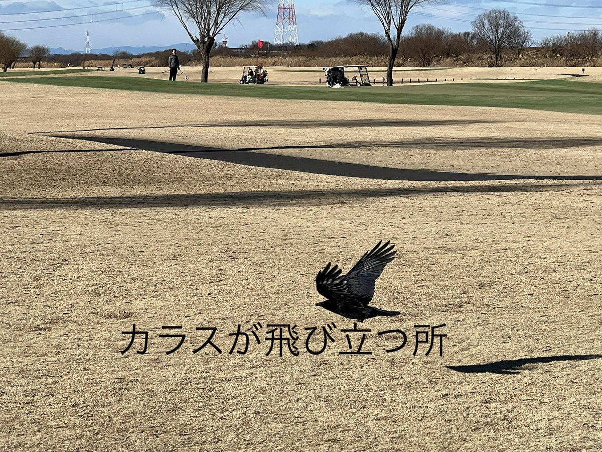 shimayan878's tweet photo. 今年初のゴルフコンペ🏌+🎉=⛳
強風で悩ませられましたが、
99でラウンド出来たぁ。
バックティからでしたけどね。
#ゴルフ
#パット数を30にしたい
#ATTASKing
#越谷ゴルフ倶楽部 https://t.co/ktL5orgC6y
