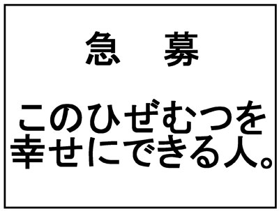 蛇足の4。
突然のひぜむつ・・。
家宝時代捏造アリ。 