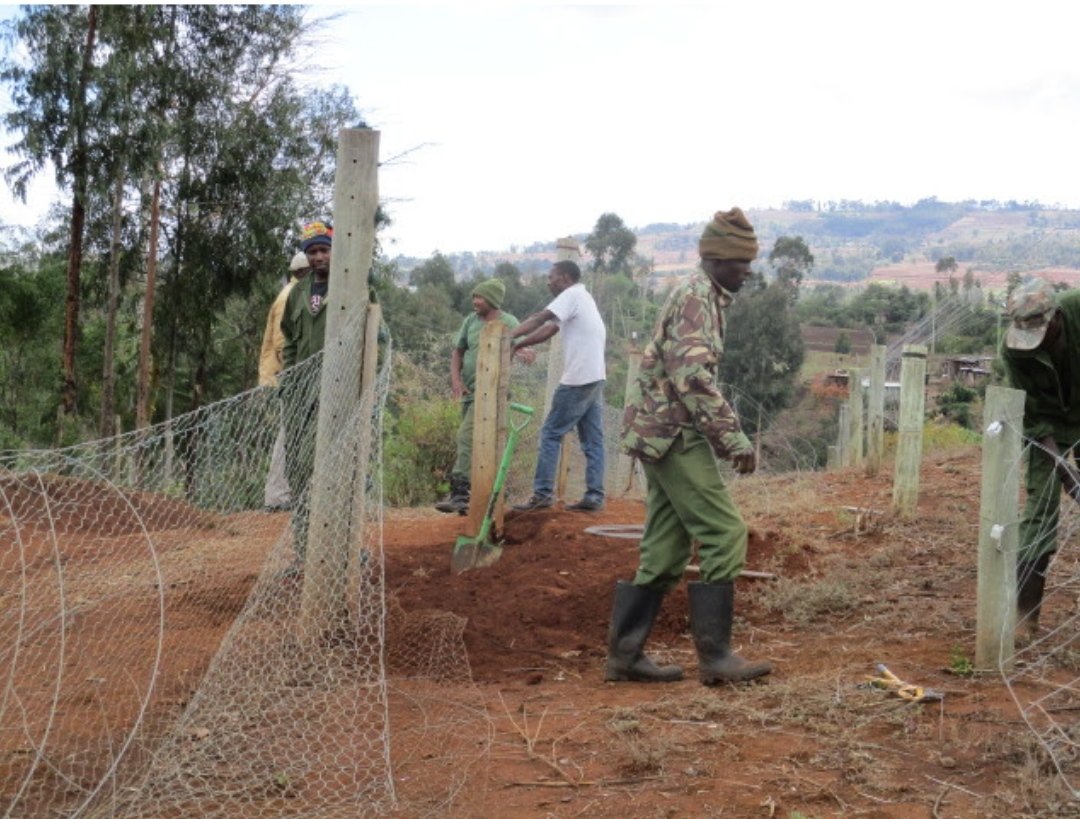 MKT Fencers conducting repair work on the Elephant Corridor fence.

#MKTFencers #MKToperations #rangerteam #fencerepair #electricfencemaintenance #rangerpatrol #fencemaintenance