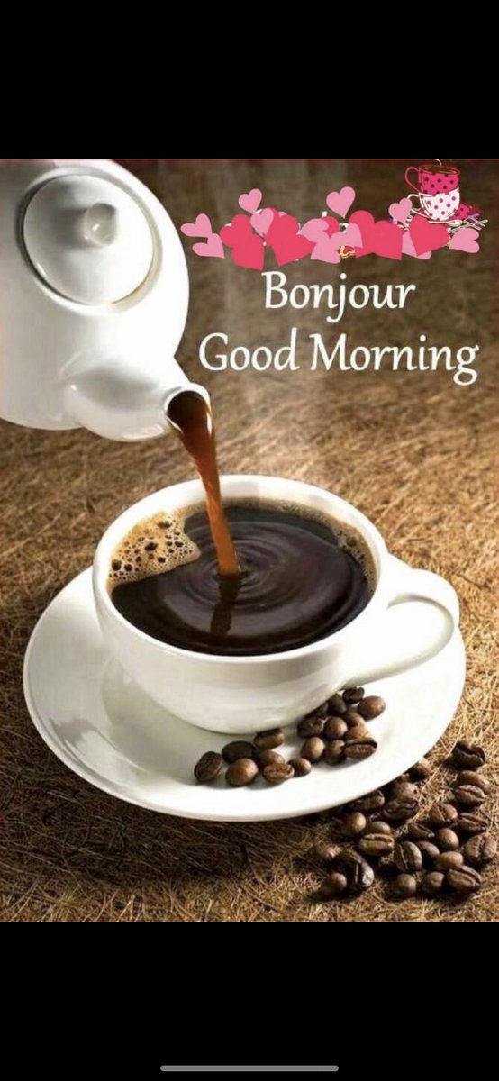 YoussefJean3's tweet photo. @MirnaJamal4 https://t.co/sHyVDVjbMy