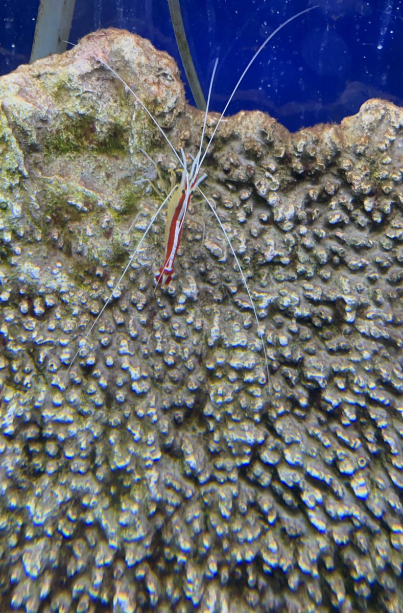 tumisole's tweet photo. #Zoovisit 📸 https://t.co/E2uSoC77zt