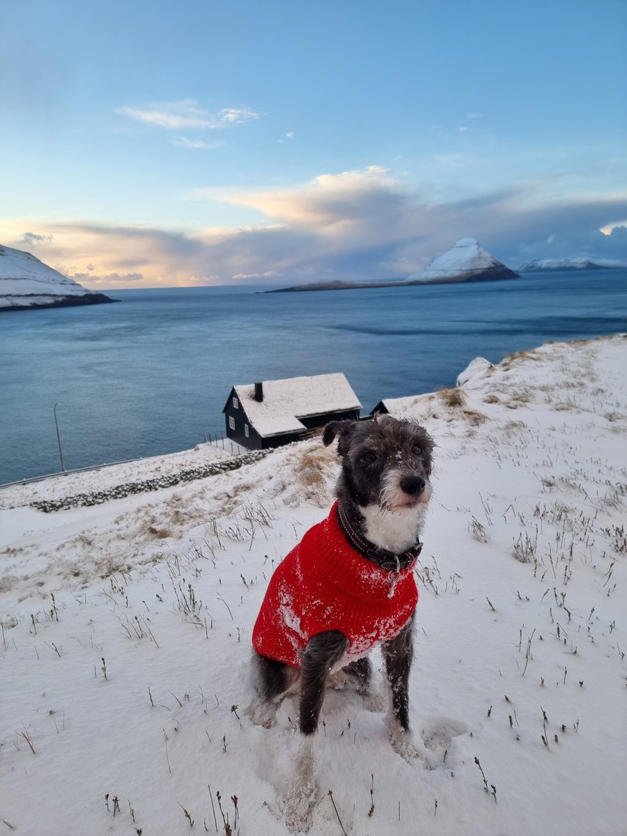 KolbruniH's tweet photo. The mountains have been covered in snow lately. Its the only time im able to focus on the breathtaking scenary without worrying about the (now hidden) #landdegradation. #theFaroeIslands are absolutely beautiful! #HappyNewYear https://t.co/GuFsabzgl3