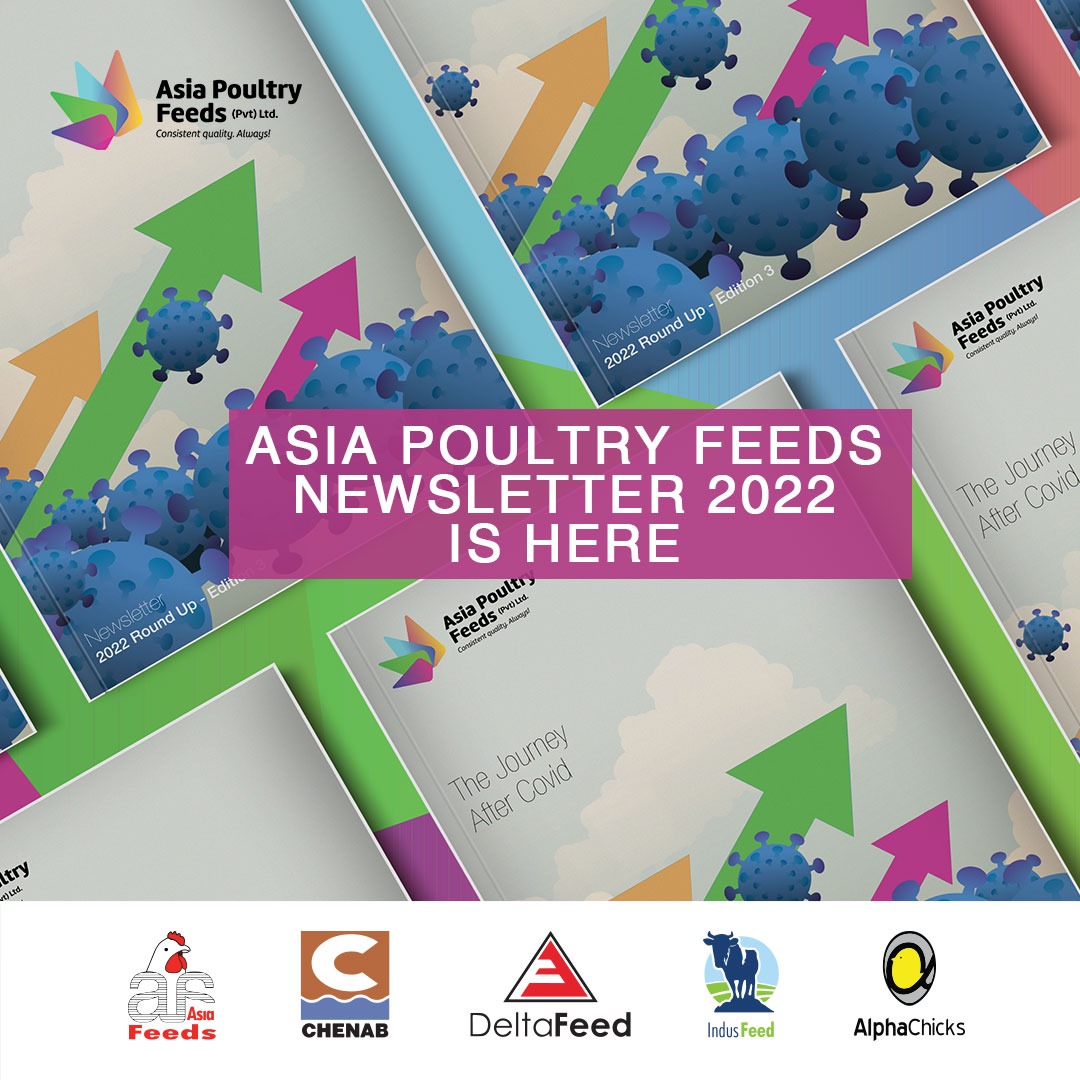 AsiaFeeds's tweet photo. Here it comes the 3rd edition of Asia Poultry Feeds Newsletter 2022. Check the website for the latest news and events.

https://t.co/4vnlFQhfg6

#AsiaPoultryFeeds #AsiaFeeds #Newsletter #newsletterfreebie #newslettertime #companyculture #poultryfeeds #broiler https://t.co/8V0653sE5M