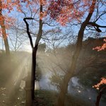 ツイートに含まれる画像