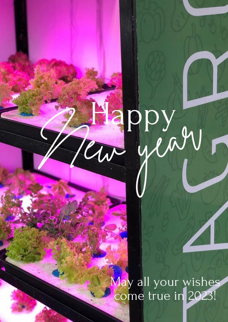 myvitagrow's tweet photo. Happy new year to everyone from us💃🏽💃🏽#NewYear2023 #Hydroponics #Bills https://t.co/dvbFa5kpBb
