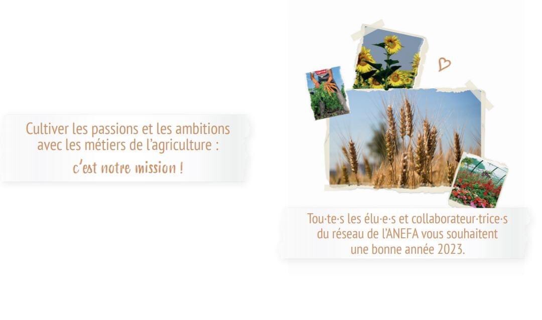 BONNE ANNÉE 🐄🐏🐥🌾🍅🍇🚜