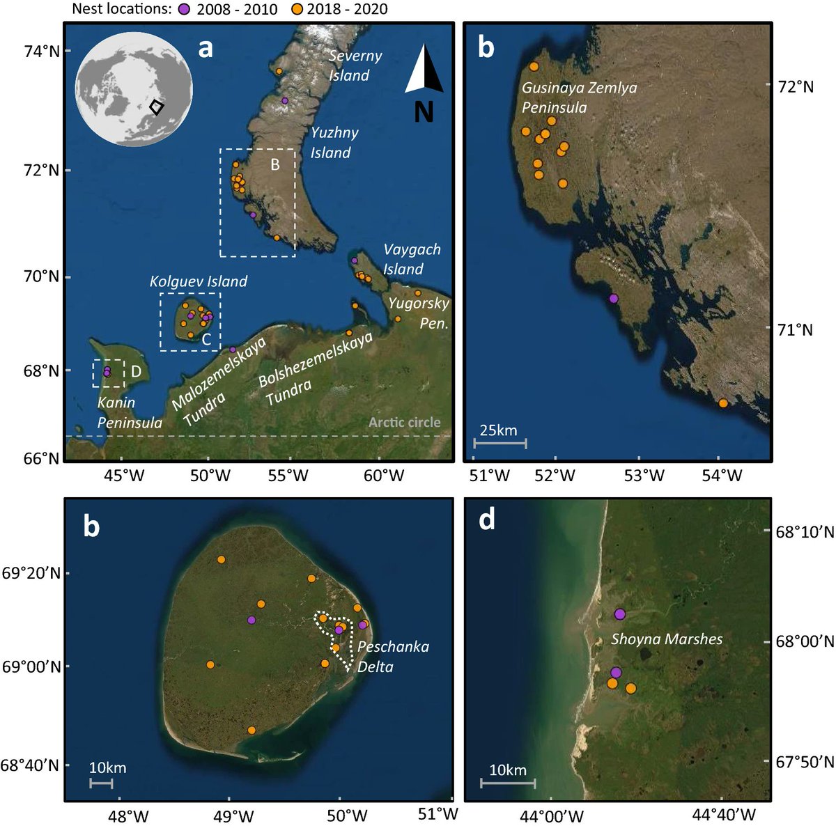 niooknaw's tweet image. New publication: #BarnacleGeese breeding on Novaya Zemlya: current distribution and population size estimated from tracking data, by @NHBuitendijk @HenkvanderJeugd @BartNolet @M_P_Boom and others. #novayazemlya #animaltracking 
doi.org/10.1007/s00300…