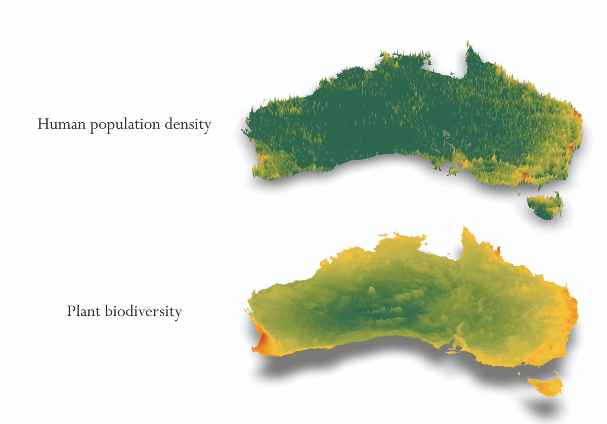 EdSacre's tweet photo. (1) Playing around with #rayshader in #rstats to explore some interesting natural relationships. Humans tend to inhabit areas of high biodiversity. This seems intuitive because these areas have natural resources. But, in #conservation we tend to protect areas far from people. https://t.co/pDo0SebDG0