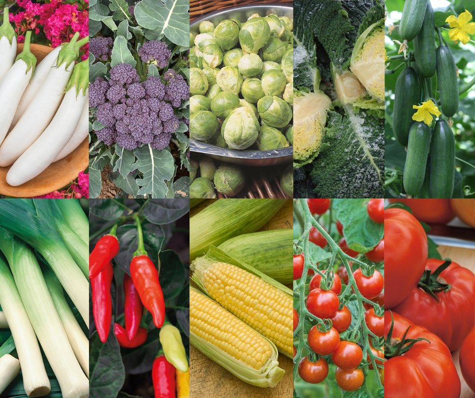 Mr Fothergills Seeds on Twitter "Planning to grow more veg or create a
