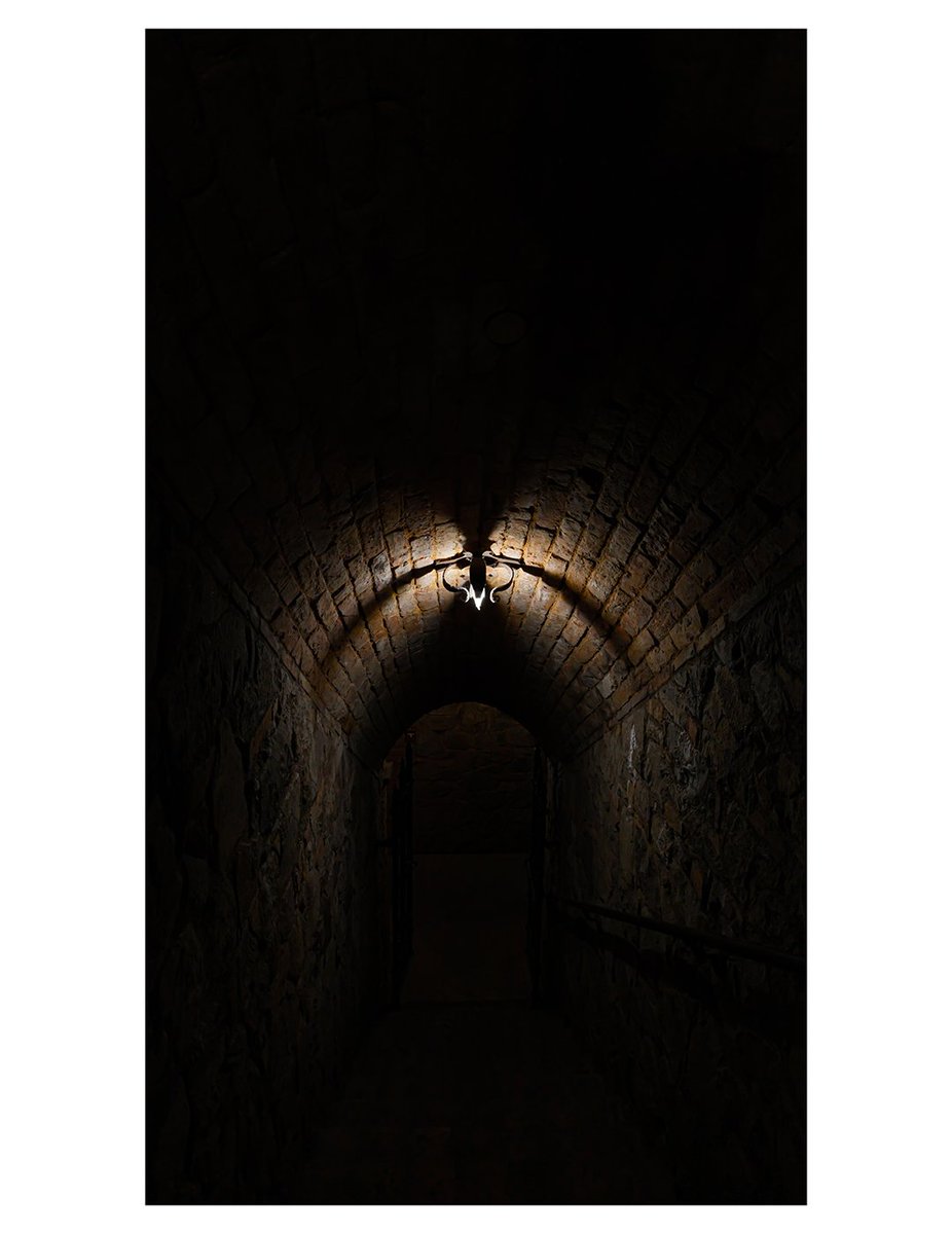 'I'll follow you into the dark' 
@thecastello the things that you can see in that place are amazing🤯 from the beauty of the colours outside to the incredible architecture and paintings on the inside! 
Ps. The wine is so good 🤤🍷
#intothedark #lightroomcc #lightoom #photography