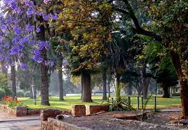 The Bulawayo Charter 
We the people of Bulawayo,  commit ourselves to a green city that embraces clean renewable energy and low carbon emission. 

#loveBulawayo
#bulawayocharter
#thebulawayowewant