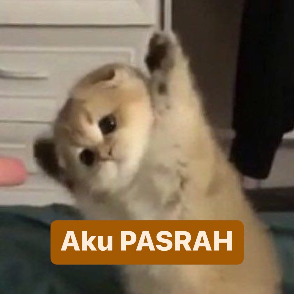 infotembusptn's tweet photo. Menunggu pengumuman daftar siswa Eligible https://t.co/g2Rx2S80Bz