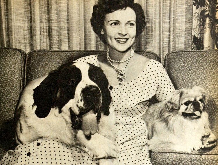 Vintage Betty White Sunshine Bouquet for #GRASP (Greece Residents Assisting Stray Pets)
Betty White was an animal lover &amp; advocate, &amp; we have chosen to honor her with this local fundraiser. Read more on GRASP &amp; order your arrangement at RockcastleFlorist.com.
