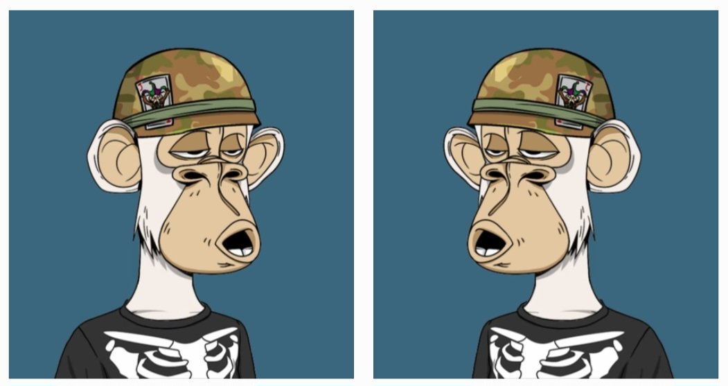 thgirypoceht's tweet photo. Hey @jeffalomaniac,

Come visit us at @phunkyApeYC!

👥️The OG phlipped ape👥️

✅️BAYC<>PAYC 
✅️Punks<>Phunks

🫂Official Discord:
https://t.co/dOJnF2arWy

#PAYC #Phapes #nfts
#phunkyApeYC #BAYC

Happy 2023, pham! x https://t.co/1TY6WJfHuE