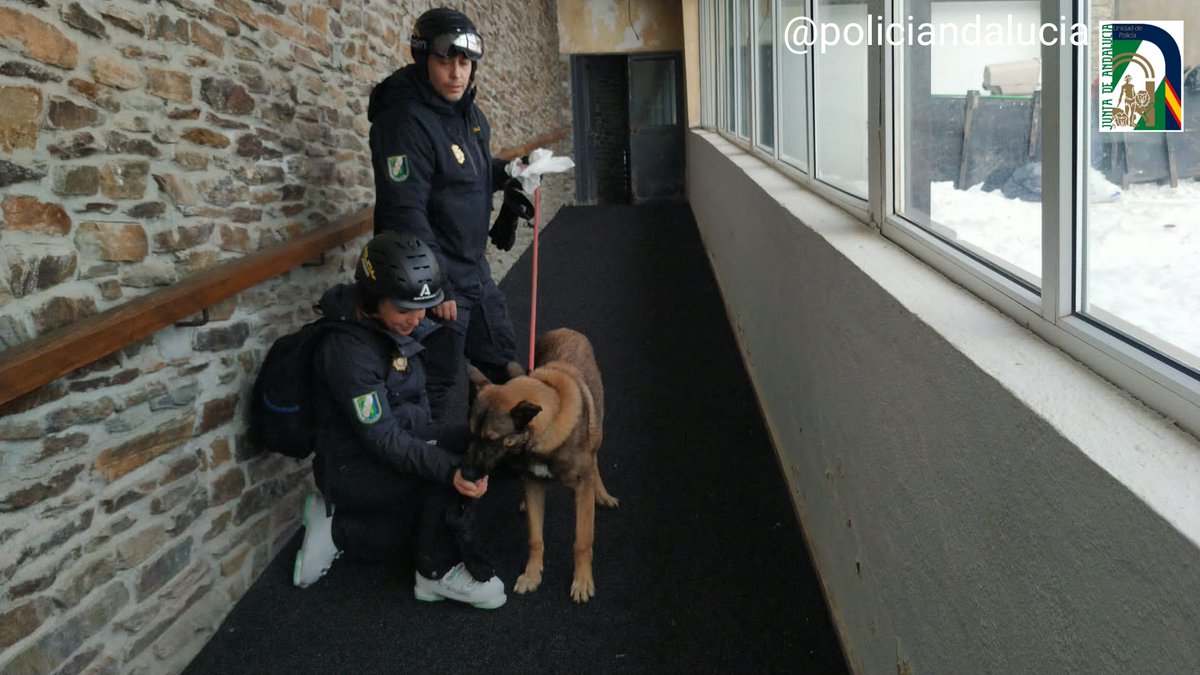 policiandalucia tweet picture