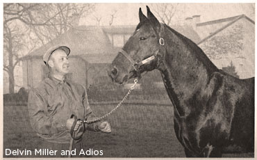 hoosiernations's tweet photo. 83 years ago at Two Gaits farm in Carmel, Indiana #Adios was foaled.
Raced during WWII. Winner of 44 and earnings of $33,329
Adios would sire: Adios Butler, Adios Harry, Bret Hanover and many others. #IndianaLegend
His story by Sports Illustrated: https://t.co/gEC4XCRJAX https://t.co/O8UZsQ67KM