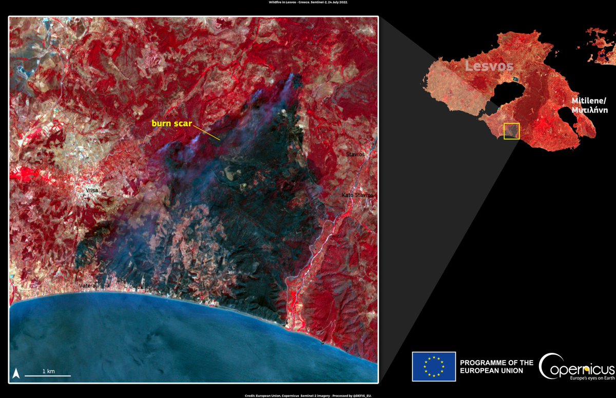 Last week's #CopernicusObserver recalls the weather extremes were observed in 2022 as seen through the eyes of #Copernicus 🇪🇺🛰️❗️

It also discusses the key contribution provided by the #CEMS Early Warning & Monitoring and Mapping components

More👇
copernicus.eu/en/news/news/o…
