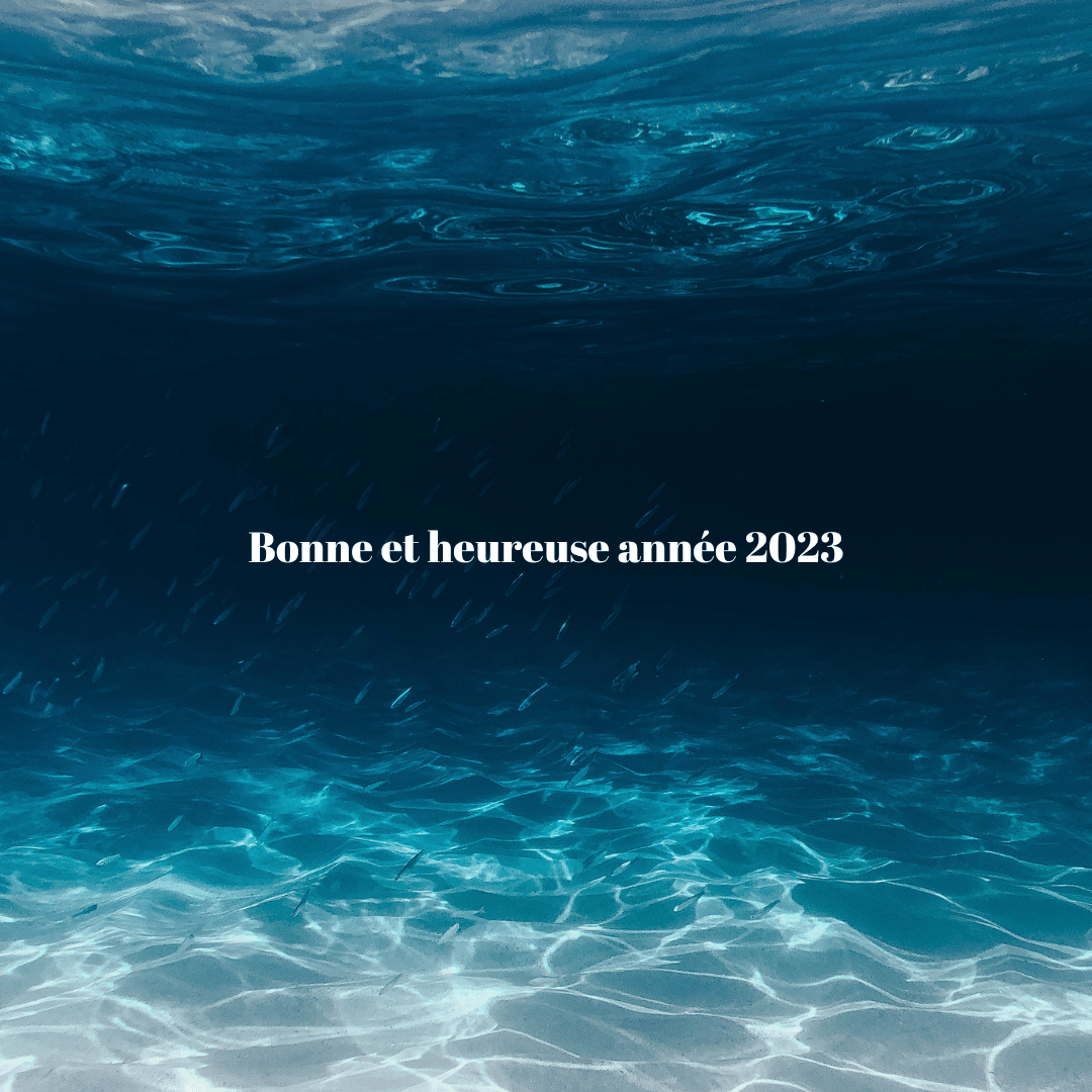 Je vous souhaite une excellente année 2023 et plein de réussite dans vos transitions multiples. #voeux #2023 #innovation #transition #timetoplanet