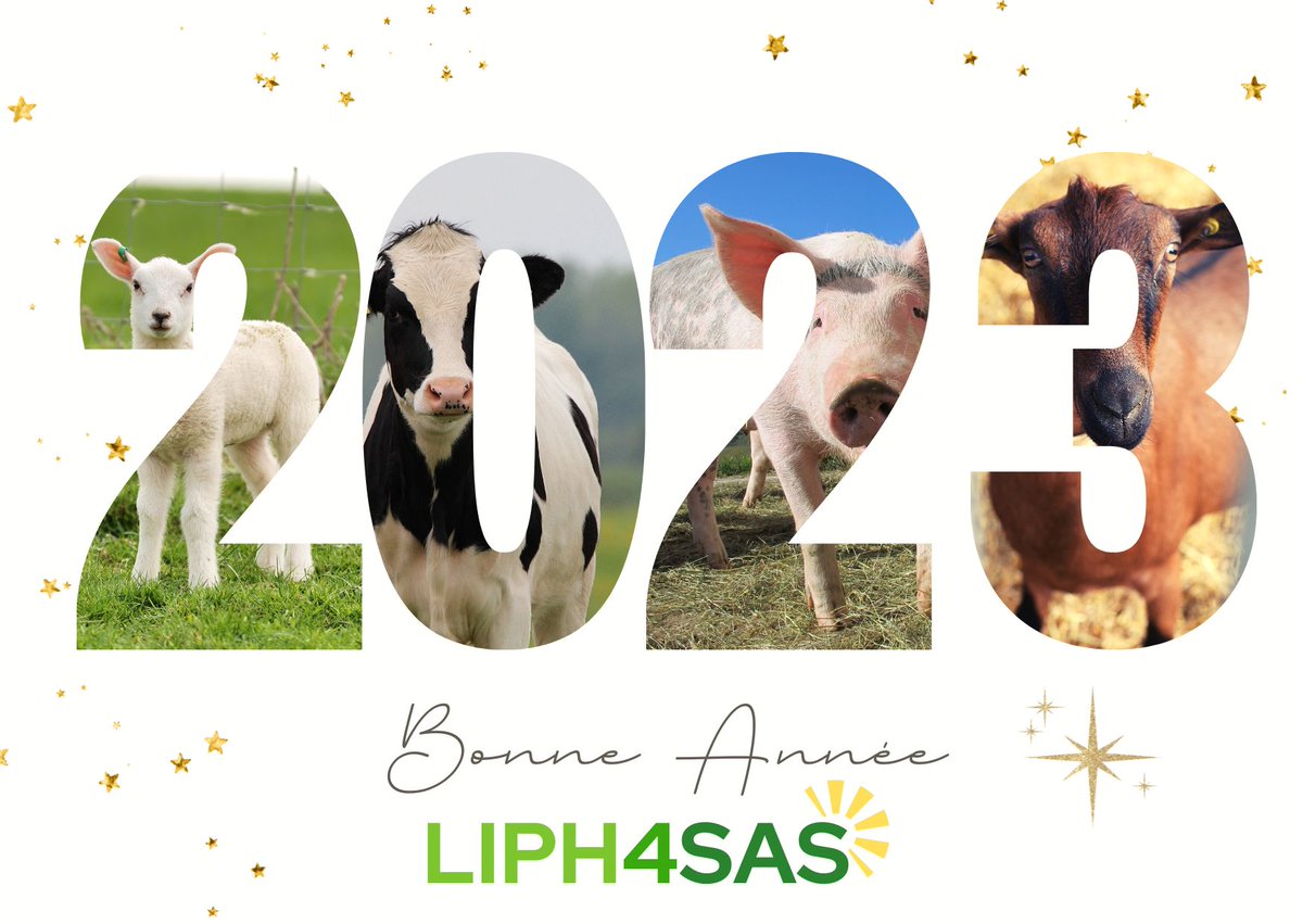Nous vous souhaitons une excellente année 2023 !