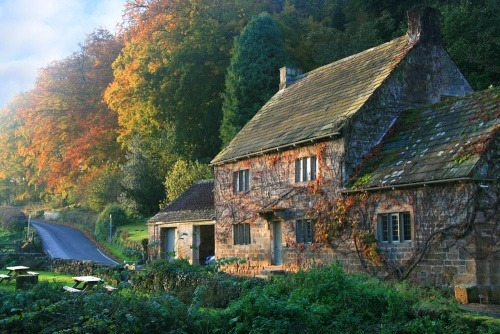 balanceinstyle's tweet photo. Forest Cottage, Somerset, England #ForestCottage #Somerset #England https://t.co/BMDYsmRHLf https://t.co/u6C57njaJE
