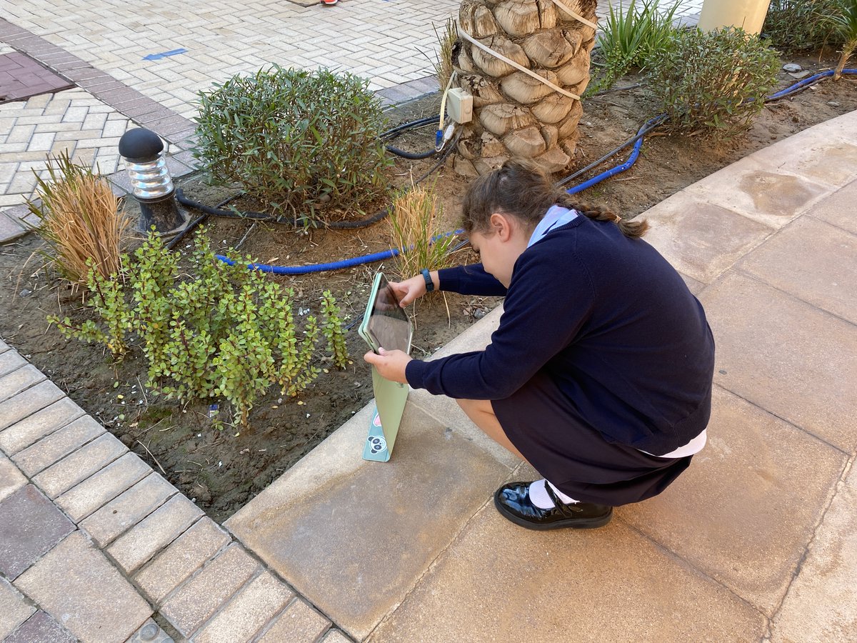 JESS Computing tweet media