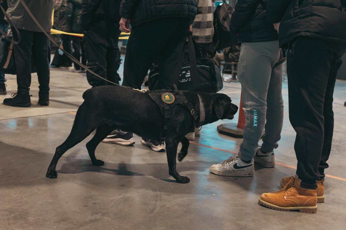 KarjalanPR's tweet photo. Eilen saapuneiden alokkaiden tavaroiden tarkastukseen osallistui virkakoiria niin @Puolustusvoimat kuin myös @kaakkoisraja, @poliisi_kaakko ja @Hameenpoliisi sekä @rikosseuraamus. Kiitos tuestanne kiireisenä päivänä!
#K9 #virkakoira #Karjalanprikaati #saapumiserä123 #yhteistyö https://t.co/2U8gy6E4Nh