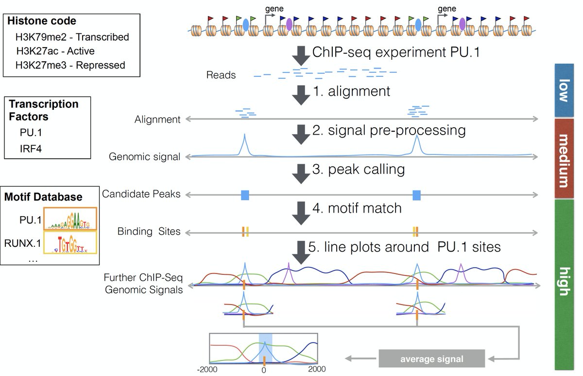 vanvanka123's tweet image. We are happy to share our manuscript describing the Regulatory Genomics Toolbox (RGT). RGT is a python framework for analysis of chromatin and regulatory genomics data as interval algebra, peak calling, motif matching and IO tinyurl.com/wfeccn4c