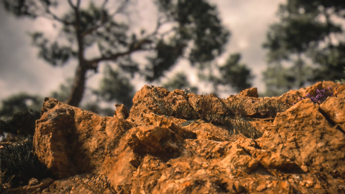 WorldviewVP's tweet image. 🌿
-
#APlagueTaleRequiem #APlagueTale #VirtualPhotography