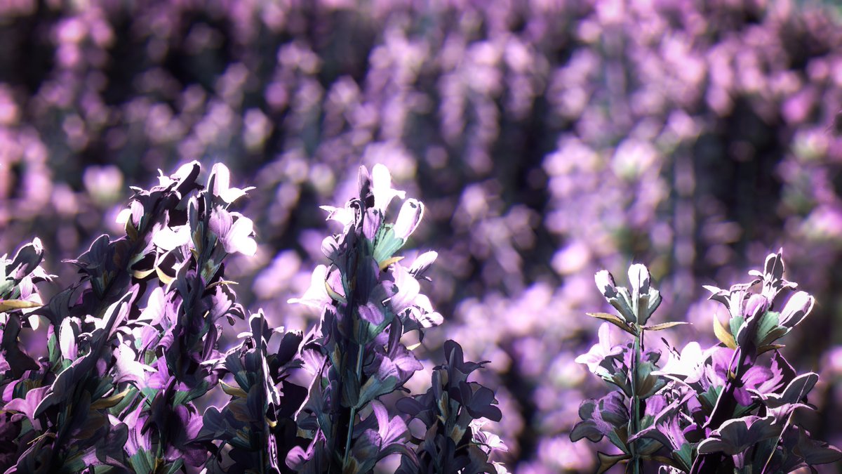 WorldviewVP's tweet image. 🌿
-
#APlagueTaleRequiem #APlagueTale #VirtualPhotography