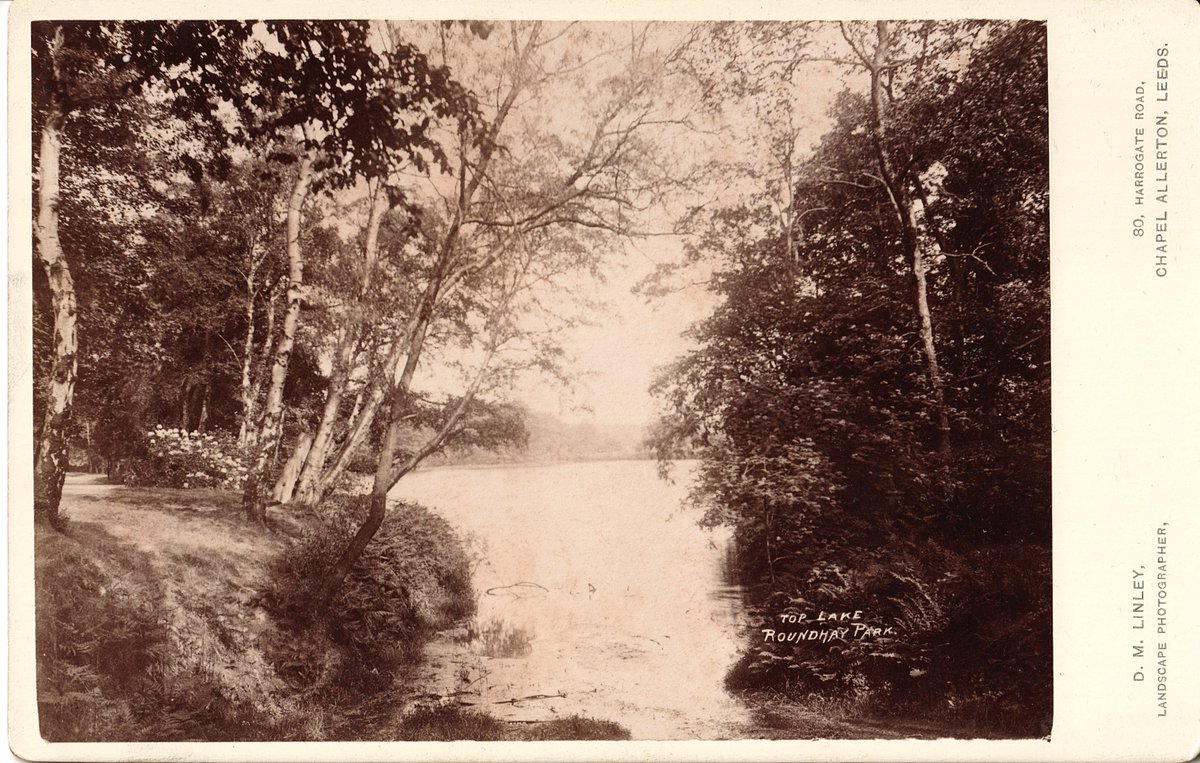 Old Roundhay tweet media