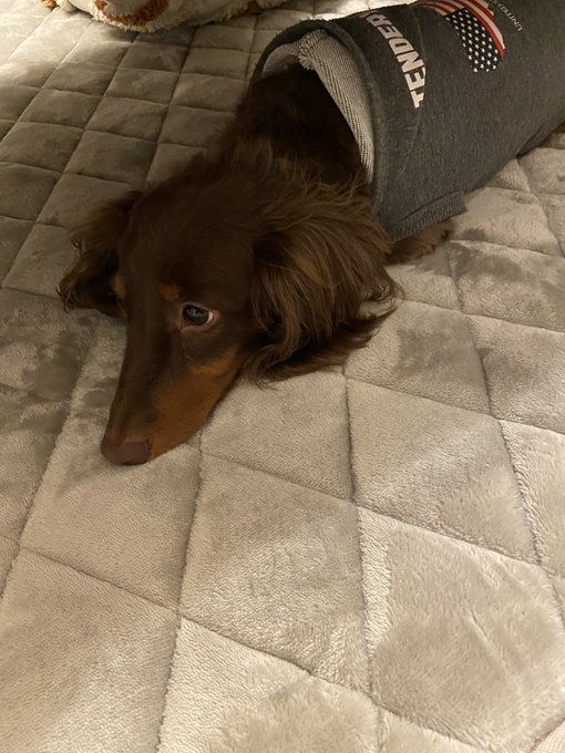 Twitterのコスプレ画像29