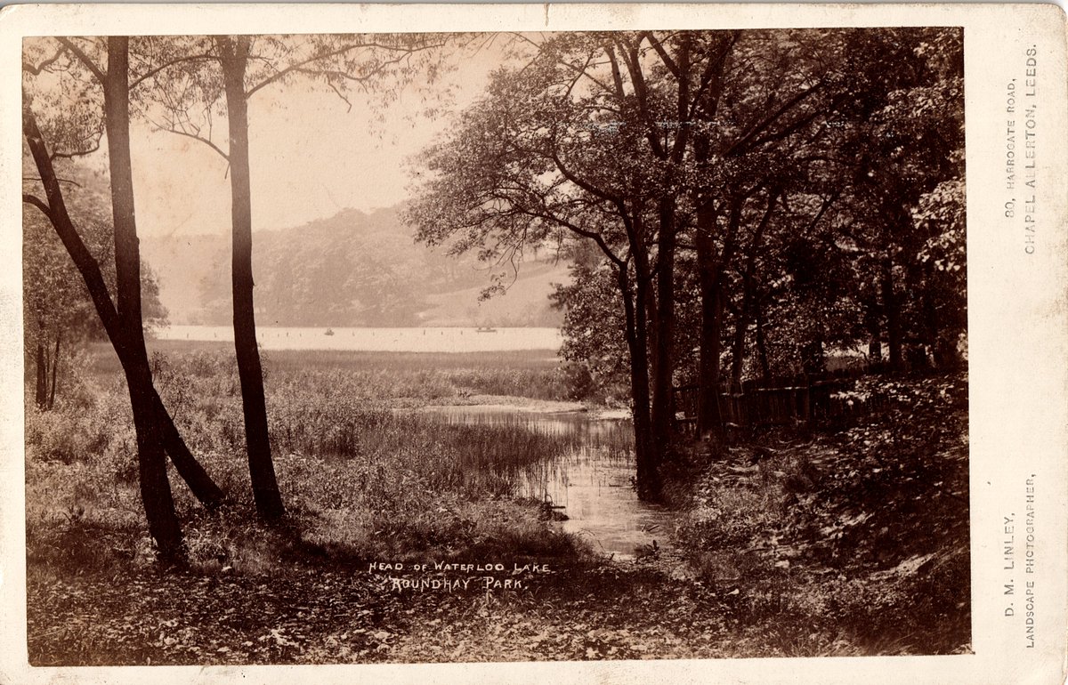 Old Roundhay tweet media