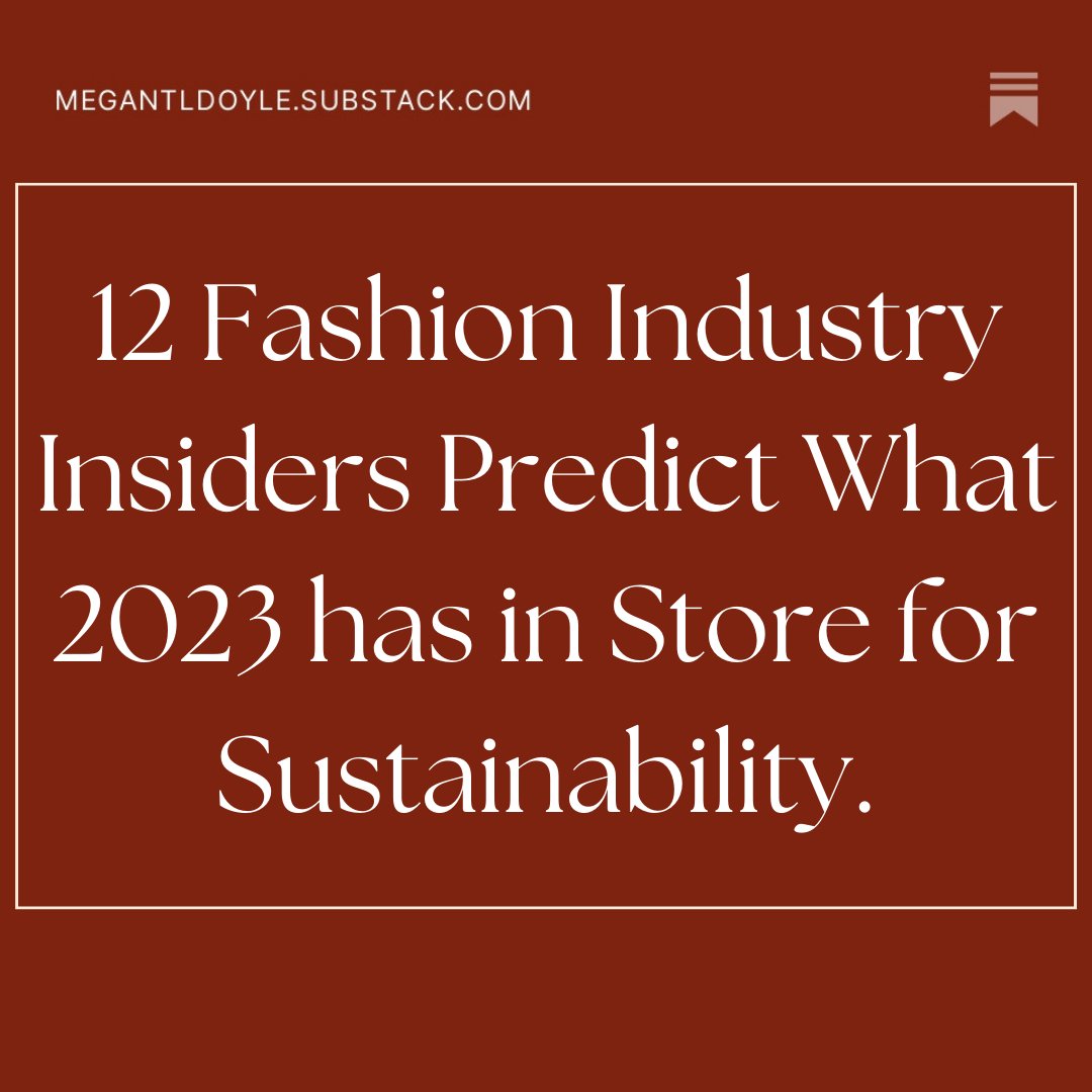 For my latest newsletter, I asked 12 fashion industry experts for their 2023 predictions:
megantldoyle.substack.com/p/december-in-…