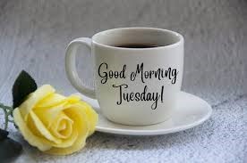 #Tuesdayvibes
Good morning. Have a fabulous day!
  #Outdooradvertising <a href="/WarringtonBuses/">Warrington's Own Buses</a> #Warrington #Marketing #2023