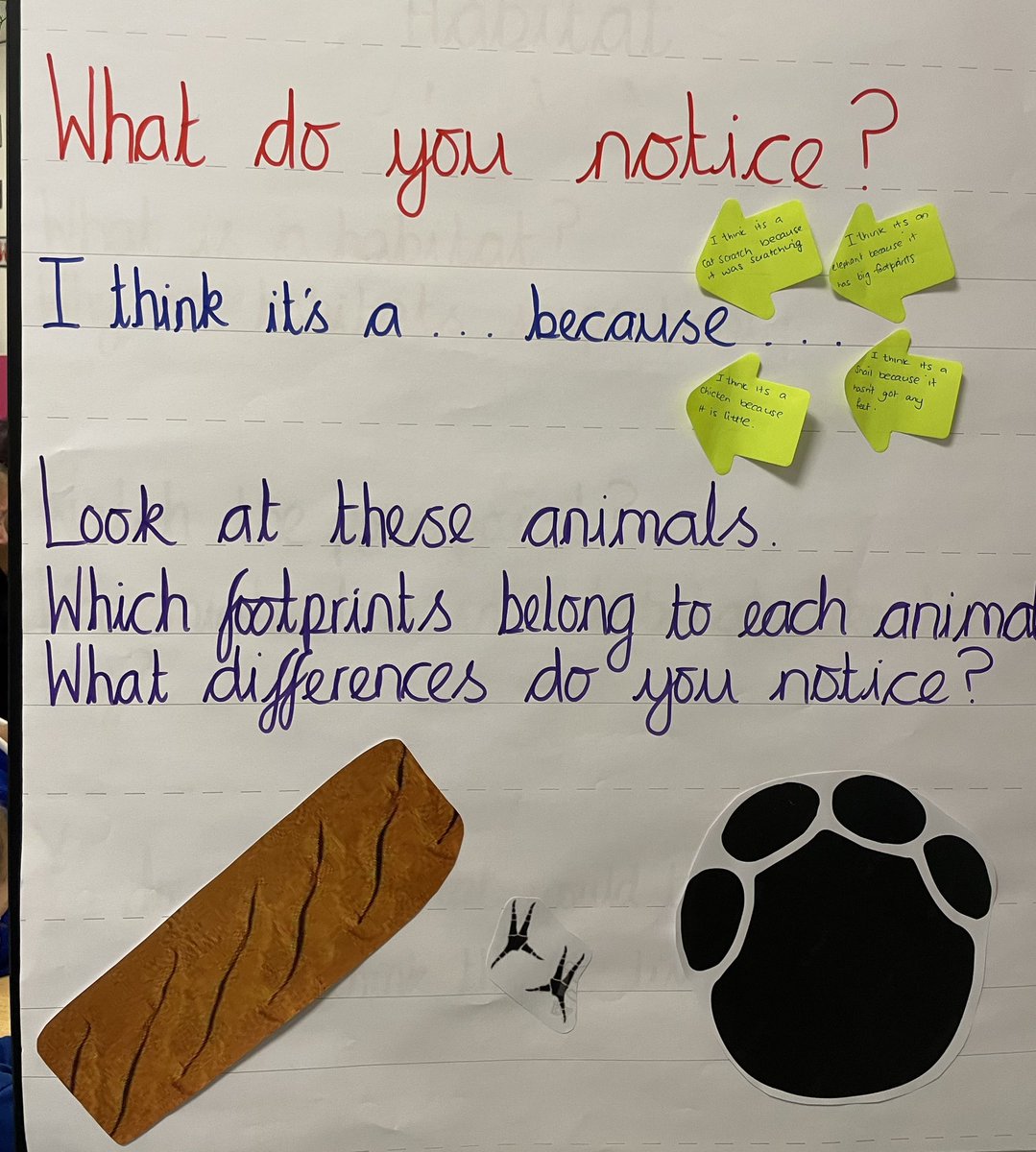 Foxfield EYFS Chestnut tweet media