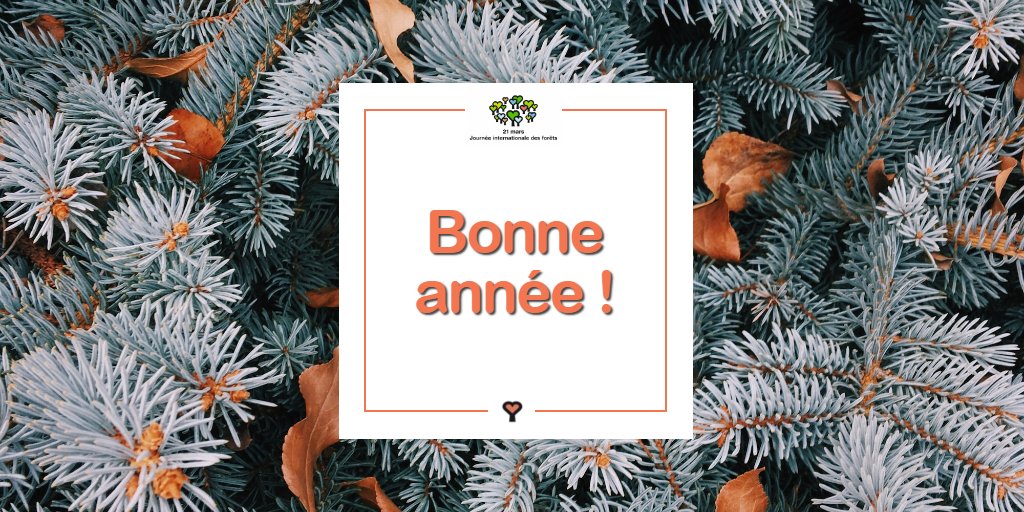 L'équipe de la Journée internationale des forêts vous souhaite une excellente année 2023 ! ✨
#MeilleursVoeux